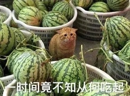 尤文与巴萨争夺首发位置
