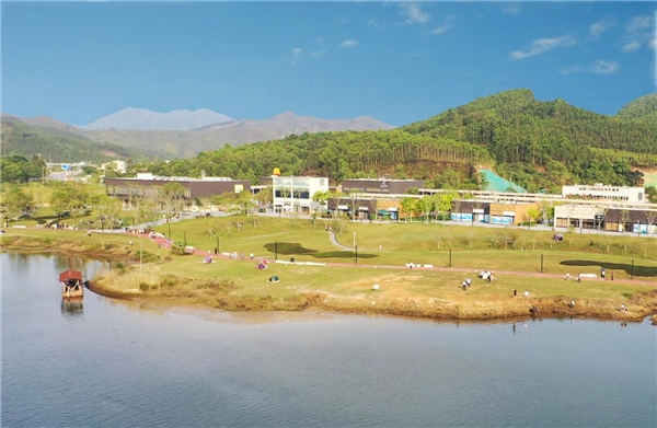 经理人曼联:带领红魔重返巅峰 经理人曼联:带领红魔重返巅峰